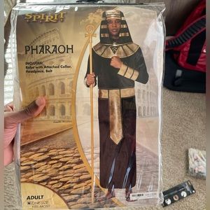Pharaoh Halloween Costume. One Size Fits most